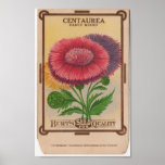 Vintage Seed Packets posters