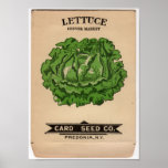 Vintage Seed Packets posters