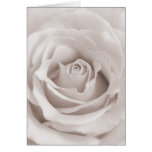 Vintage Sepia White & Cream Rose Background Custom Card