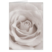 Vintage Sepia White & Cream Rose Background Custom Card