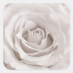 Vintage Sepia White & Cream Rose Background Custom Stickers