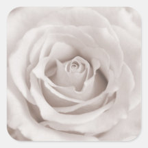 Vintage Sepia White & Cream Rose Background Custom Stickers