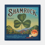 Vintage Shamrock Orange Magnetic