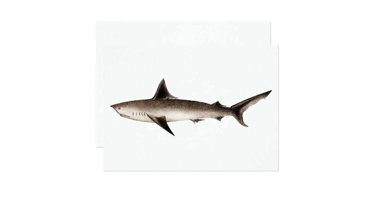 Vintage Shark Illustration Retro Sharks Template Card Zazzle