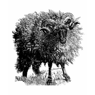 Vintage Sheep shirt