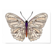 Vintage sheet music - Butterfly Poster posters