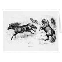 Vintage Shetland Ponies - 1800's Horse and Pony Cards