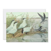 Vintage Shorebirds in a Marsh Personalized Announcement