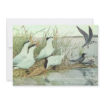 Vintage Shorebirds in a Marsh Personalized Announcement