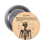 Vintage Skeleton Definition Pinback Buttons