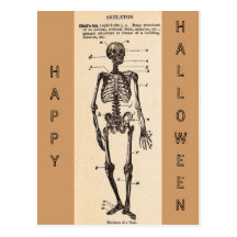 Vintage "Skeleton" Definition Postcard