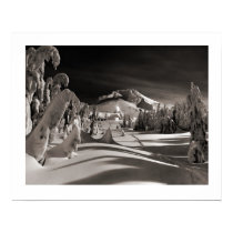 Vintage ski  image, Towards the winter village Poster