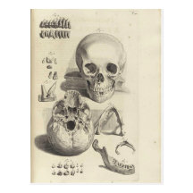 Vintage Skulls Post Cards
