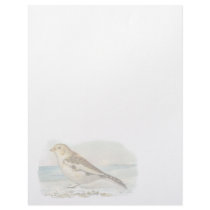 Vintage Snow Bunting Letterhead