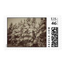 Vintage Snowscape, Conifer, CO Stamps