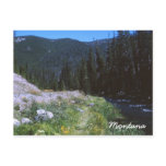 Vintage Soda Butte Creek Postcard