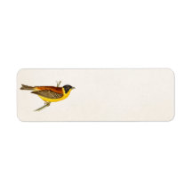 Vintage Song Bird Illustration - 1800's Birds Labels