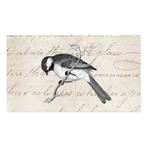 Vintage Song Bird Illustration - 1800's Birds Text Business Card Templates (front side)