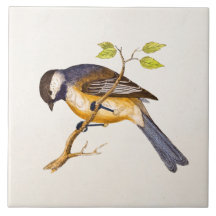 Vintage Song Bird Illustration - 1800's Birds Ceramic Tile