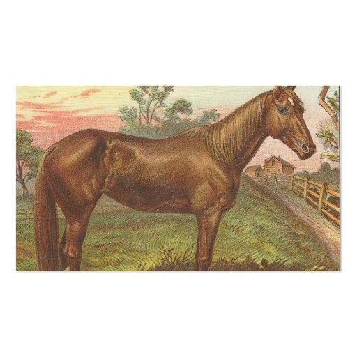 Vintage Sorrel Horse Business Card Templates (back side)