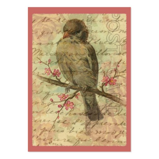 Vintage Sparrow Business Cards (back side)