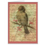 Vintage Sparrow Greeting Cards Vintage Sparrow Greeting Cards