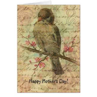 Vintage Sparrow, Mother's Day Cards