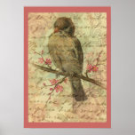 Vintage Sparrow Poster