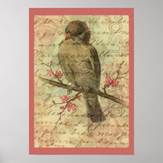 Vintage Sparrow Poster