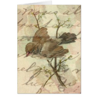 Vintage Sparrow with Handwritten Background card