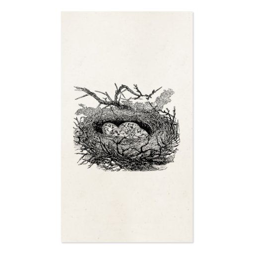 Vintage Speckled Eggs Bird Nest Personalized Birds Business Card