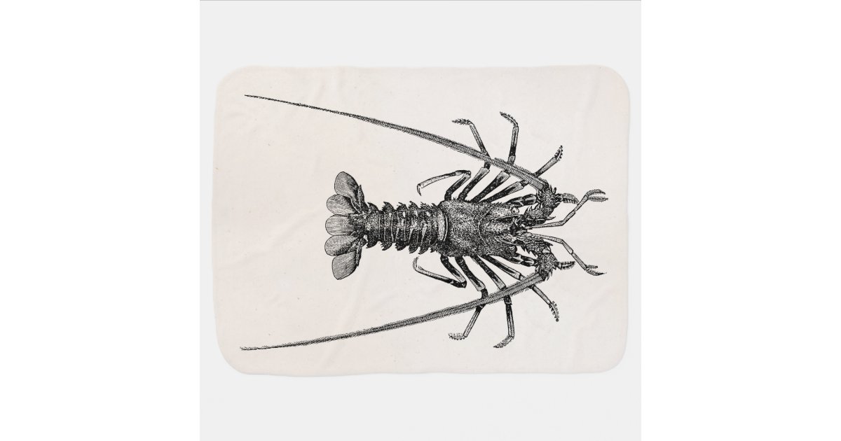 Vintage Spiny Lobster Personalized Template Baby Blanket Zazzle