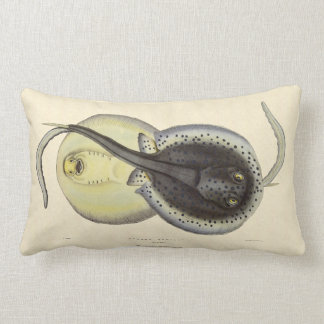 stingray pillow pet