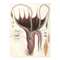 Vintage Squid posters