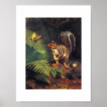 Vintage Squirrel Art Print