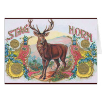 Vintage Stag Greeting Card