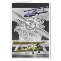 Vintage Stearman Biplane - Old Bi Wing Airplane cards