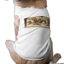 Vintage Stereoview - Our Automobile Heritage pet clothing