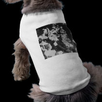 Vintage Stereoview - Santa and the Ladies pet clothing
