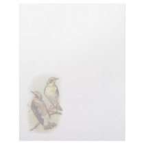 Vintage Stone Chatter Letterhead