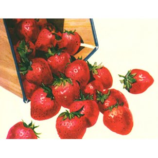 Vintage Strawberries postcard