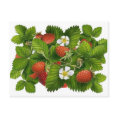 Vintage Strawberry Plant postcard