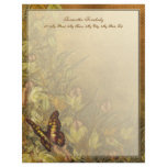 Vintage Style Butterfly Illustration Letterhead Design