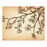 vintage style cherry blossom art print