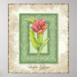 Vintage Style Floral - Red Tulip with Brocade Poster