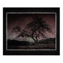Vintage Style Grunge Tree Poster print