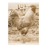 Vintage Style Rooster Photograph Personalized Invitation