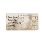 Vintage Style Rooster Photograph Labels