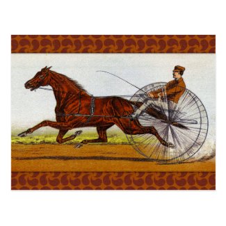 Vintage Sulky Horse Racing Postcard
