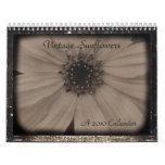 Vintage Sunflower 2010